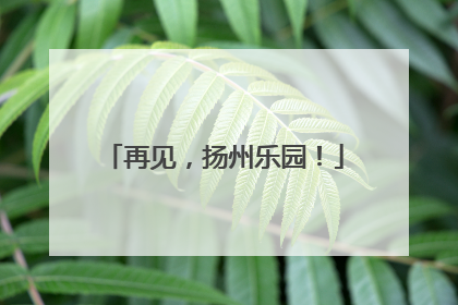 再见，扬州乐园！