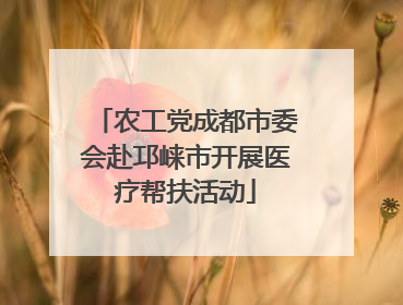 农工党成都市委会赴邛崃市开展医疗帮扶活动