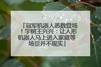 冠军机器人悉数登场！宇树王兴兴：让人形机器人马上进入家庭等场景并不现实