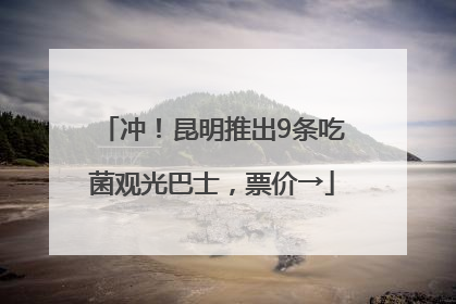 冲！昆明推出9条吃菌观光巴士，票价→