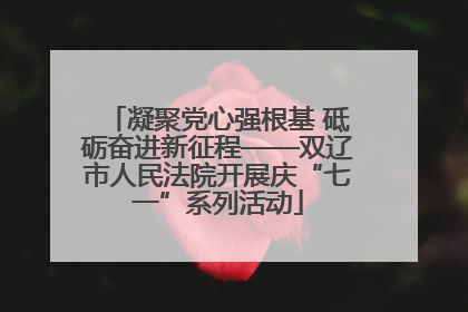 凝聚党心强根基 砥砺奋进新征程——双辽市人民法院开展庆“七一”系列活动