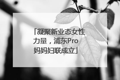 凝聚新业态女性力量，浦东Pro妈妈妇联成立