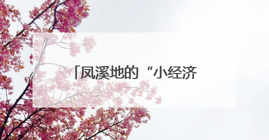 凤溪地的“小经济”与“大情怀”