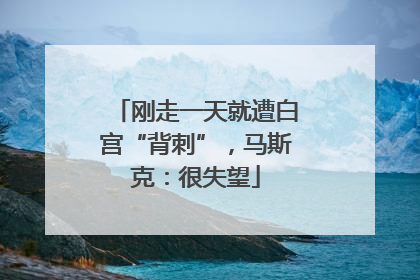 刚走一天就遭白宫“背刺”，马斯克：很失望