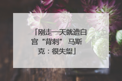 刚走一天就遭白宫“背刺” 马斯克：很失望