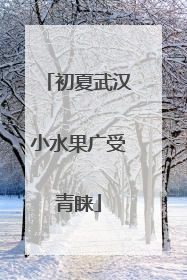 初夏武汉小水果广受青睐