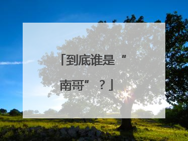到底谁是“南哥”？