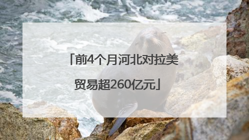 前4个月河北对拉美贸易超260亿元