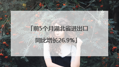 前5个月湖北省进出口同比增长26.9%