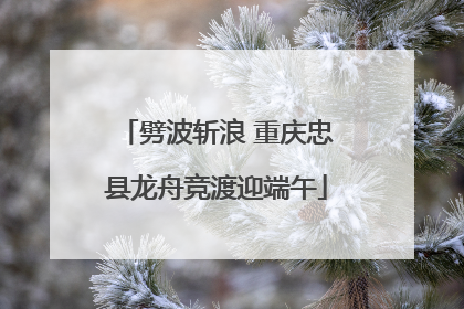 劈波斩浪 重庆忠县龙舟竞渡迎端午