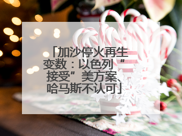 加沙停火再生变数：以色列“接受”美方案、哈马斯不认可