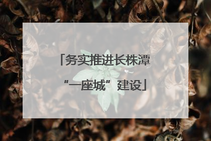 务实推进长株潭“一座城”建设