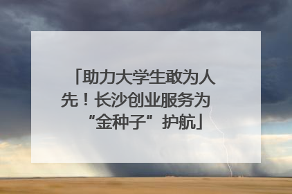 助力大学生敢为人先！长沙创业服务为“金种子”护航
