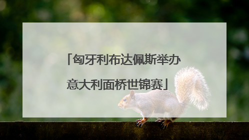 匈牙利布达佩斯举办意大利面桥世锦赛
