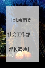 北京市委社会工作部部长调整
