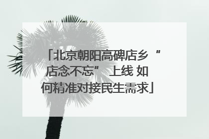 北京朝阳高碑店乡“店念不忘” 上线 如何精准对接民生需求