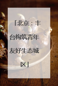北京：丰台构筑青年友好生态城区