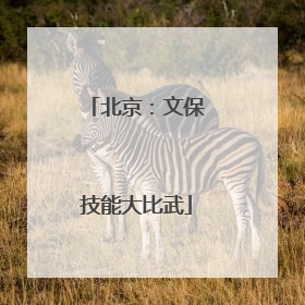 北京：文保技能大比武