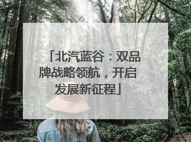 北汽蓝谷：双品牌战略领航，开启发展新征程