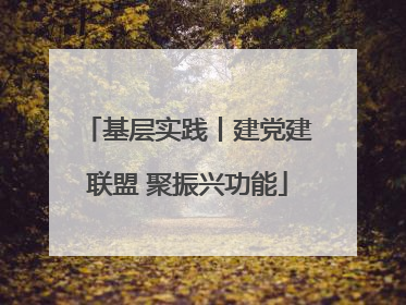 基层实践丨建党建联盟 聚振兴功能