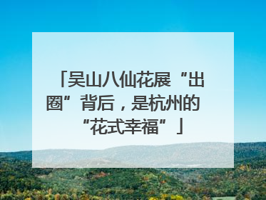 吴山八仙花展“出圈”背后，是杭州的“花式幸福”