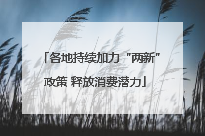 各地持续加力“两新”政策 释放消费潜力