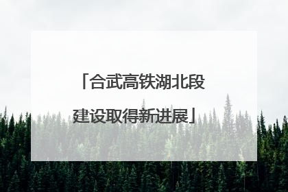 合武高铁湖北段建设取得新进展