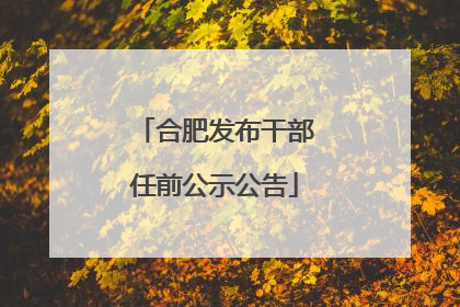 合肥发布干部任前公示公告