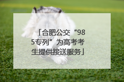 合肥公交“985专列”为高考考生提供接送服务
