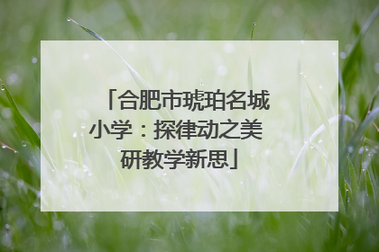 合肥市琥珀名城小学：探律动之美 研教学新思
