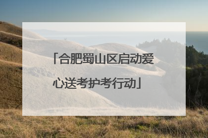 合肥蜀山区启动爱心送考护考行动
