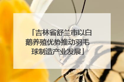吉林省舒兰市以白鹅养殖优势推动羽毛球制造产业发展