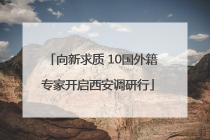 向新求质 10国外籍专家开启西安调研行