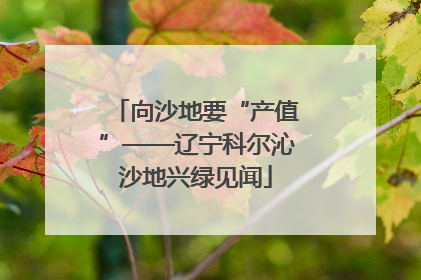 向沙地要“产值”——辽宁科尔沁沙地兴绿见闻