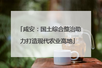 咸安：国土综合整治助力打造现代农业高地