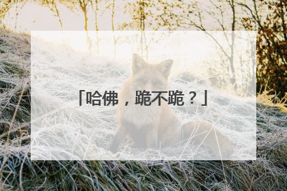 哈佛，跪不跪？