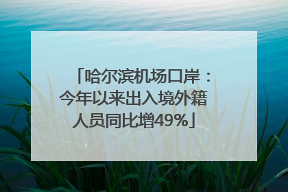 哈尔滨机场口岸：今年以来出入境外籍人员同比增49%