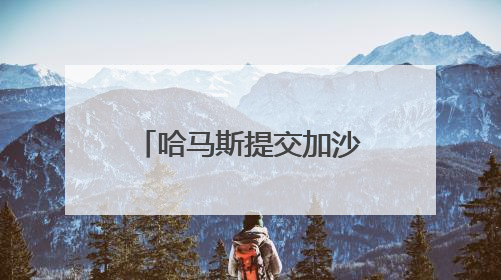 哈马斯提交加沙停火提议回应 以方称将此回应视为“有效拒绝”