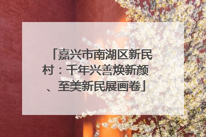 嘉兴市南湖区新民村：千年兴善焕新颜、至美新民展画卷