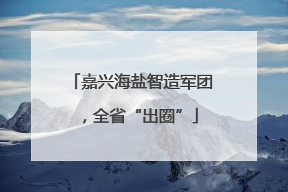 嘉兴海盐智造军团，全省“出圈”