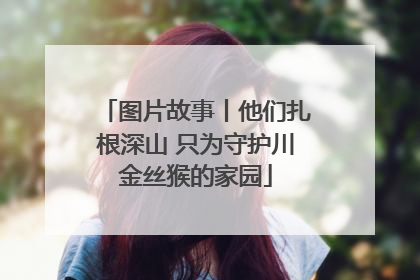 图片故事丨他们扎根深山 只为守护川金丝猴的家园