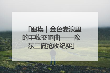 图集｜金色麦浪里的丰收交响曲——豫东三夏抢收纪实