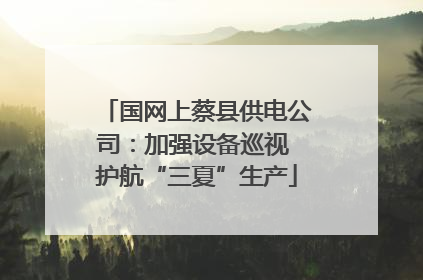 国网上蔡县供电公司：加强设备巡视 护航“三夏”生产