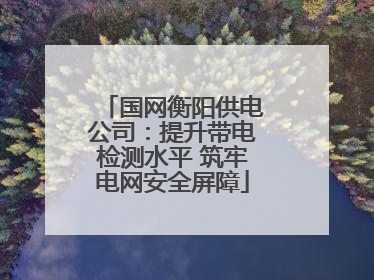 国网衡阳供电公司：提升带电检测水平 筑牢电网安全屏障