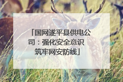 国网遂平县供电公司：强化安全意识 筑牢网安防线