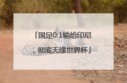国足0:1输给印尼，彻底无缘世界杯