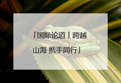 国际论道丨跨越山海 携手同行