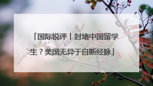 国际锐评丨封堵中国留学生？美国无异于自断经脉