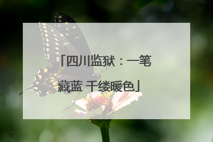 四川监狱：一笔藏蓝 千缕暖色