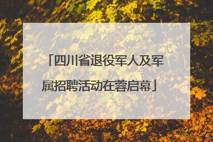 四川省退役军人及军属招聘活动在蓉启幕